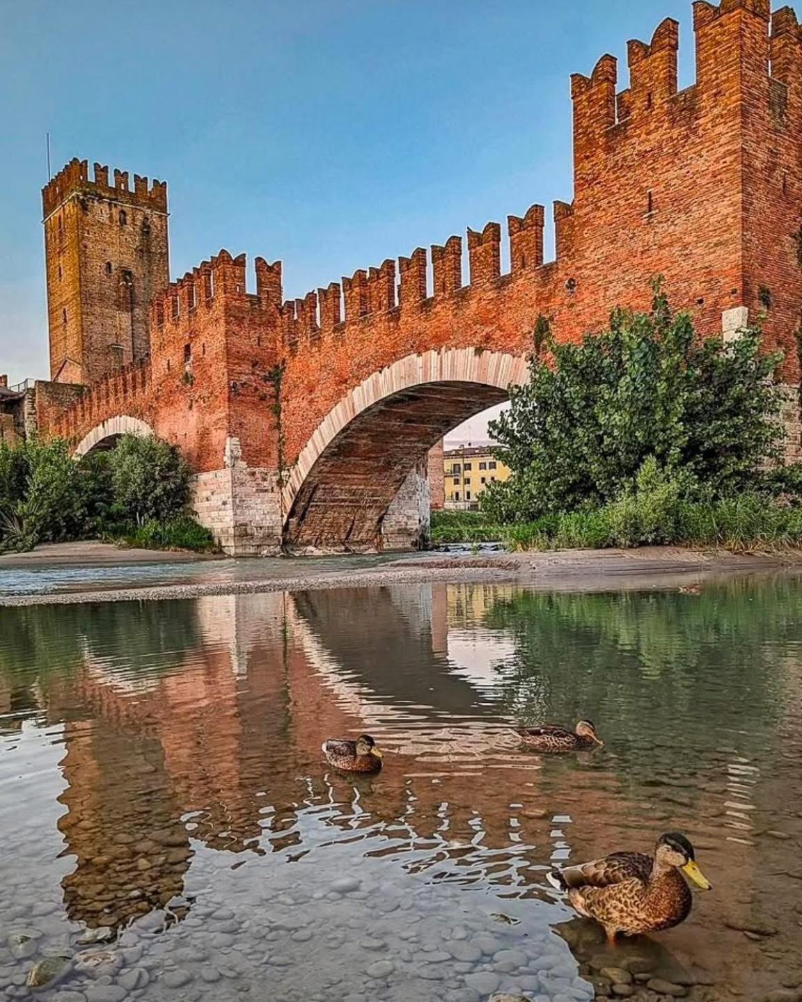 Catullo Loft Near Verona