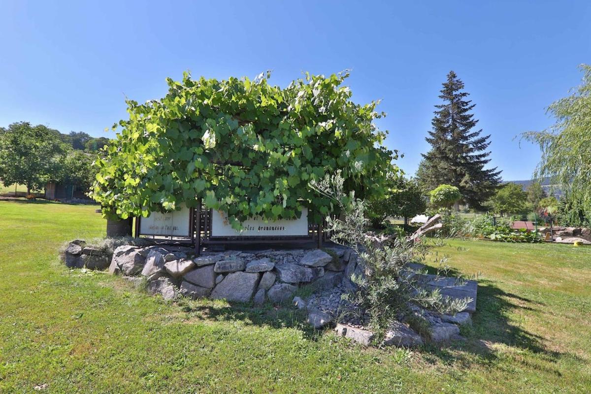 Spacious apartment, balneo and garden