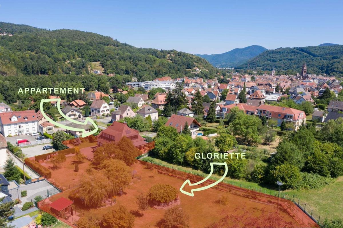 Spacious apartment, balneo and garden