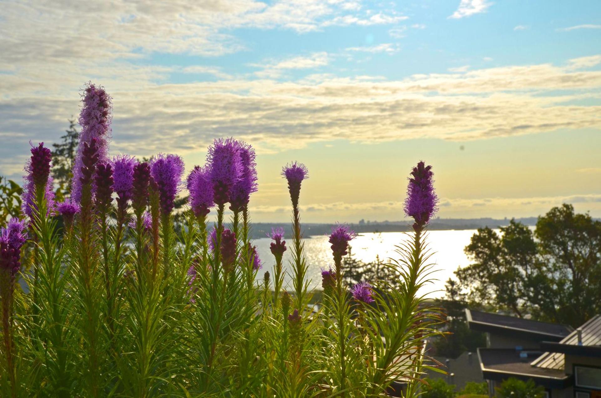 HOV B&B House -Hospitality Ocean View Victoria-