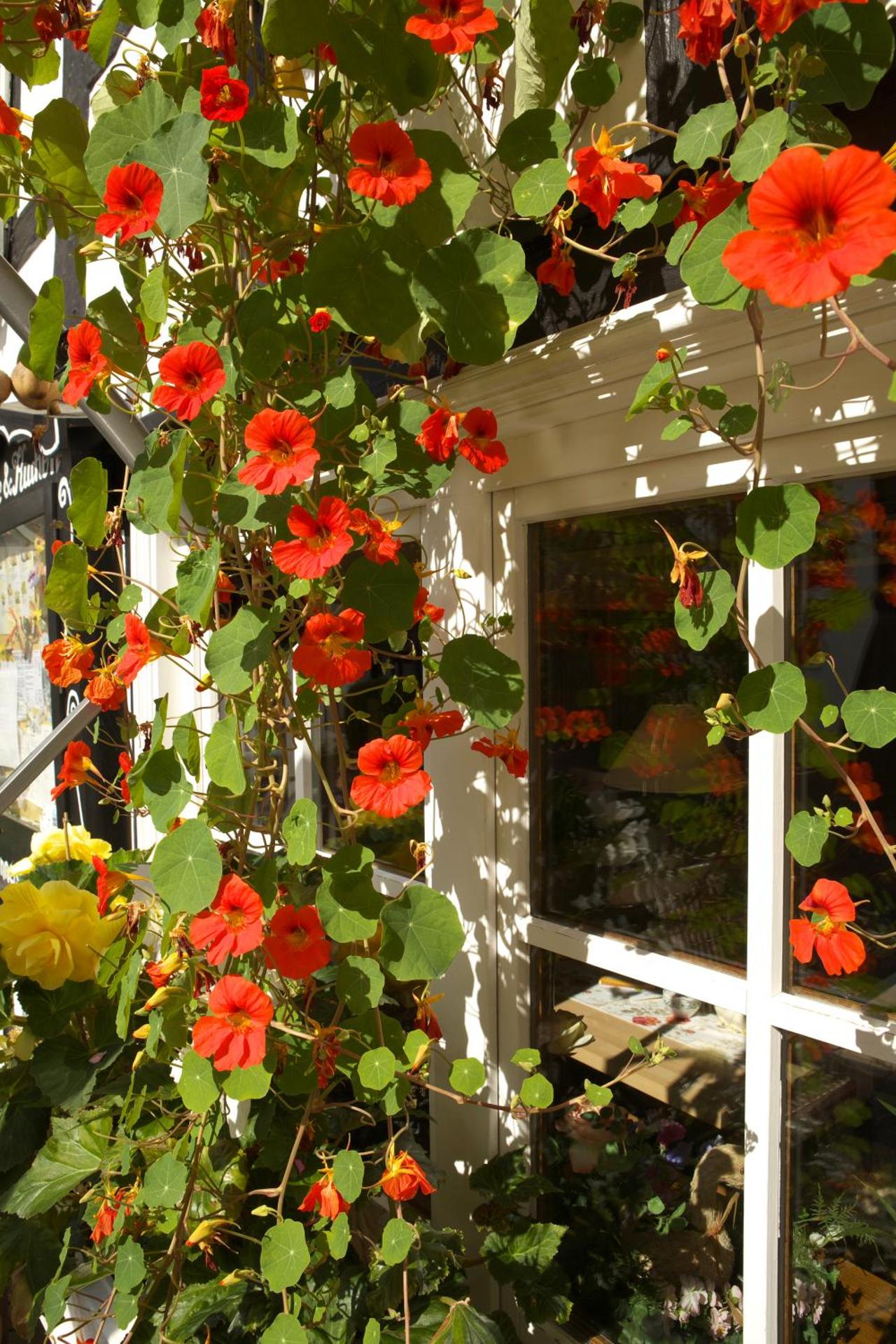 Pension Zueschener Bauernstuben