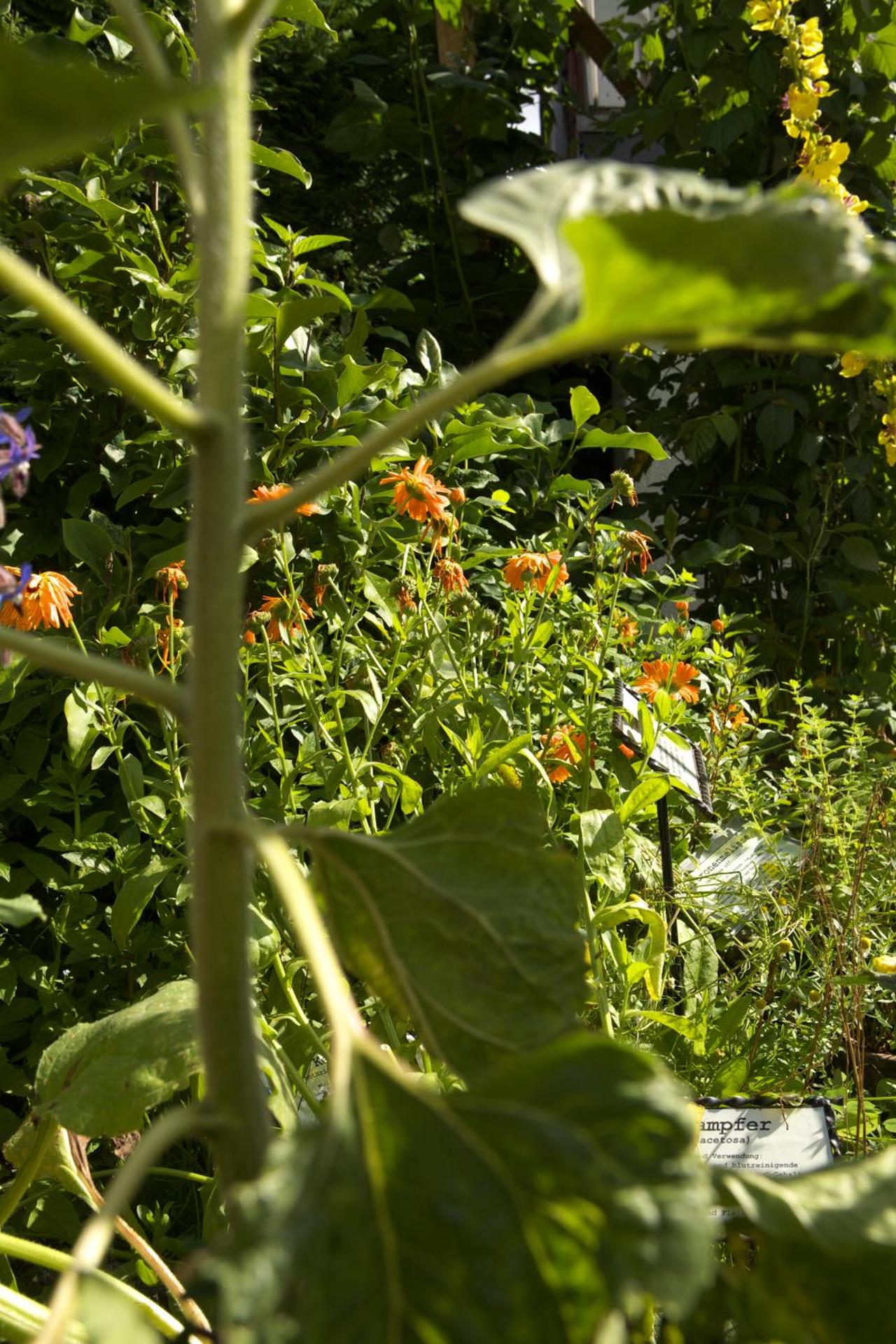 Pension Zueschener Bauernstuben