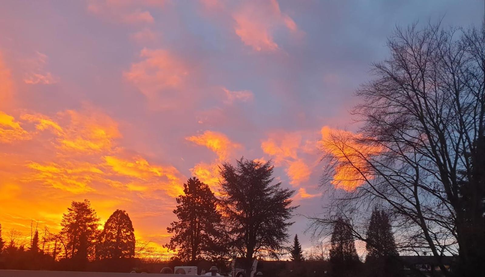 Ferienwohnung Kiefernwald