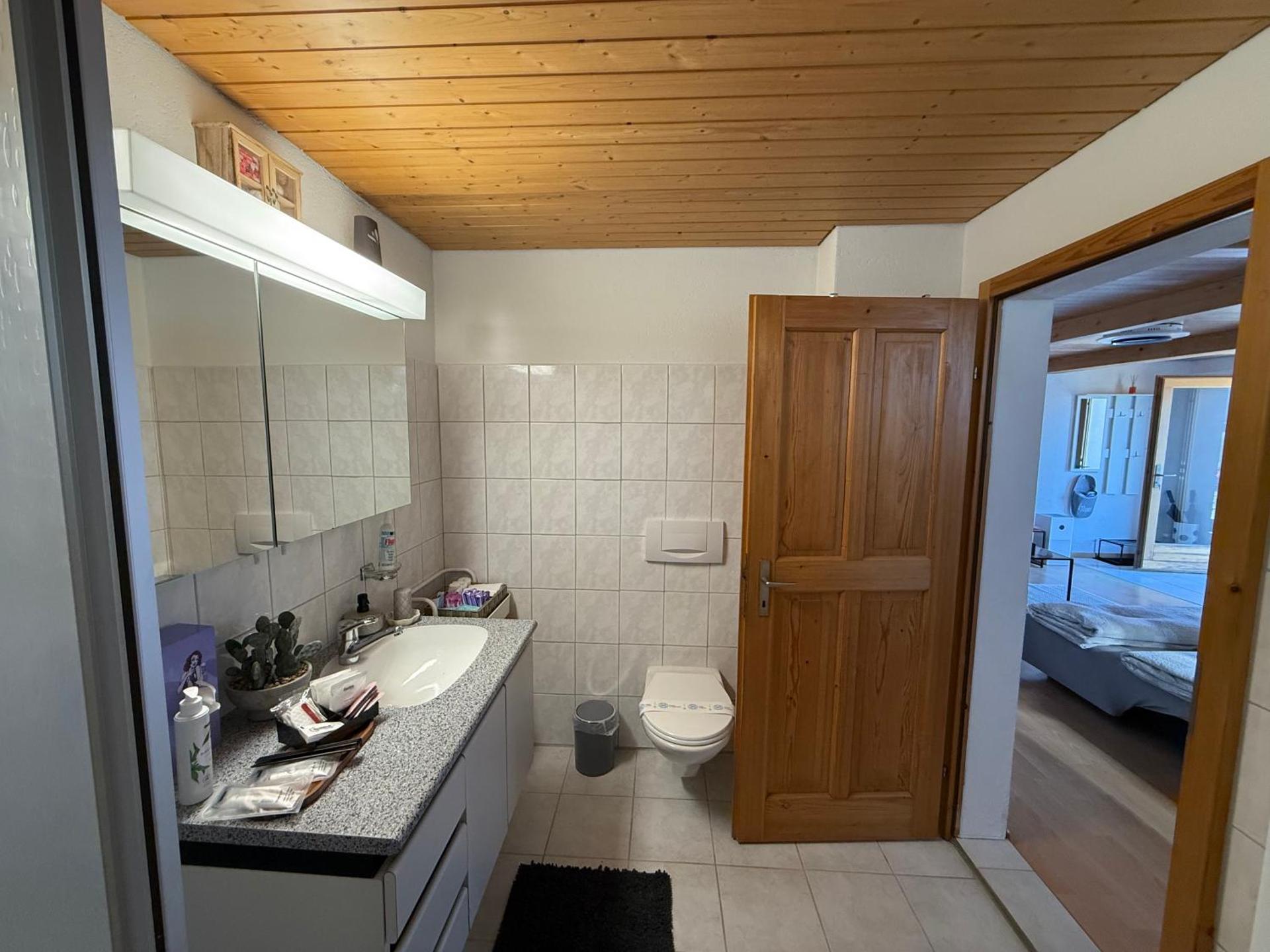 Studio with lake and mountain view