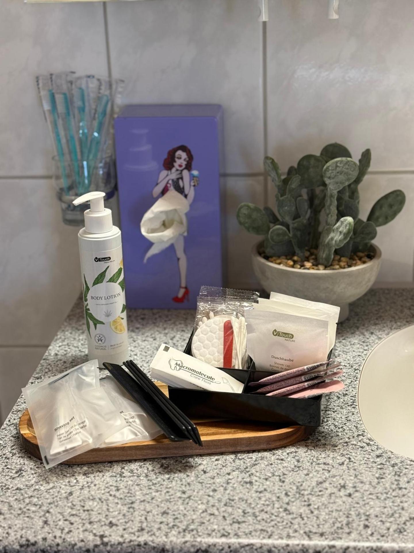 Studio with lake and mountain view