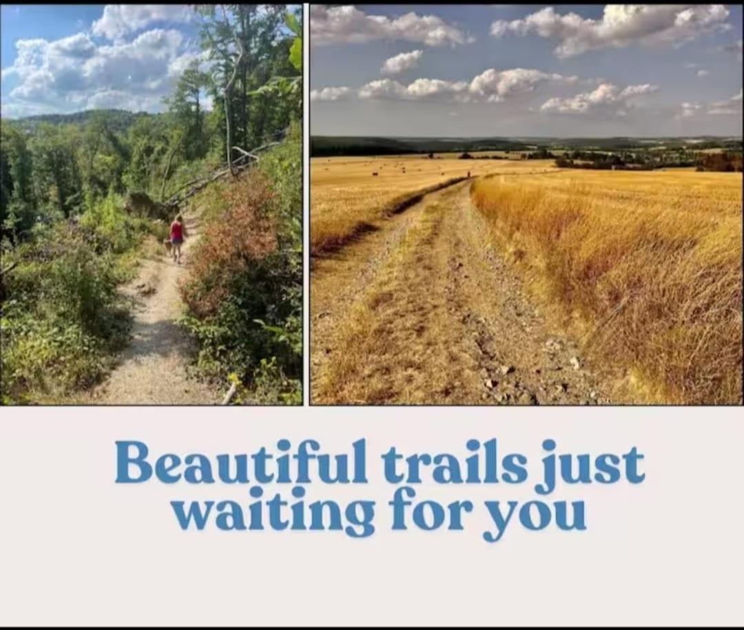 Wali's Nature Bliss Dinant Givet