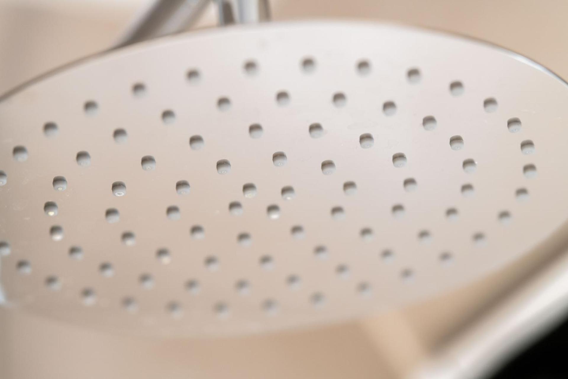 Carpe Deimern in der Lüneburger Heide