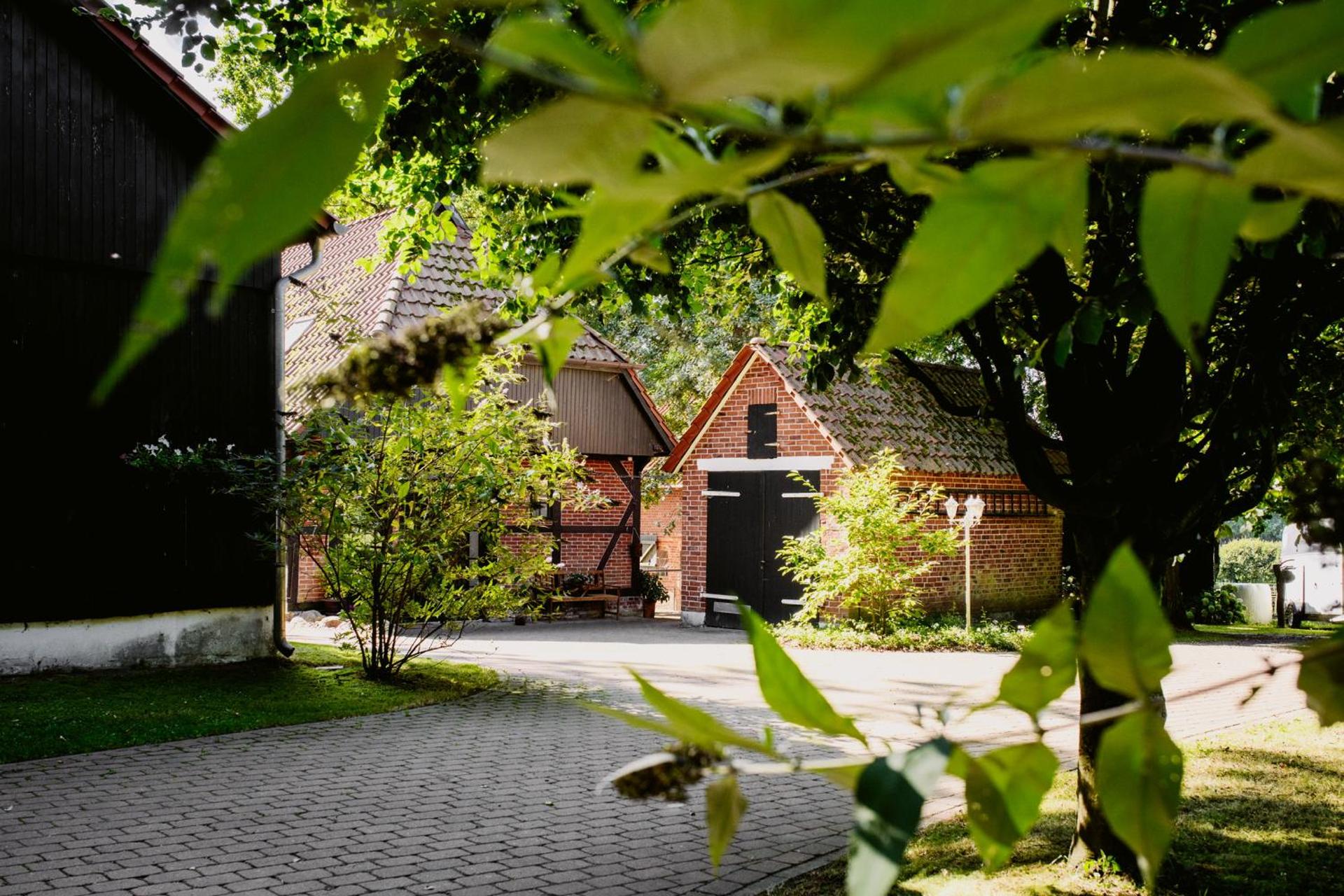 Carpe Deimern in der Lüneburger Heide