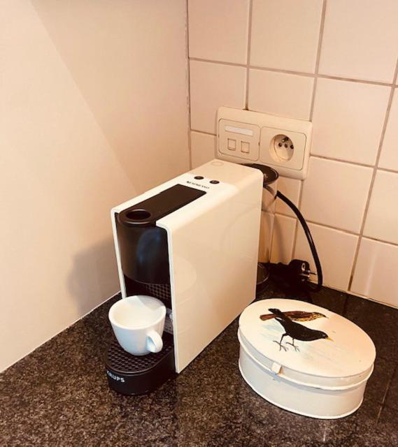 Charming & Spacious Duplex viewing the lovely MAS