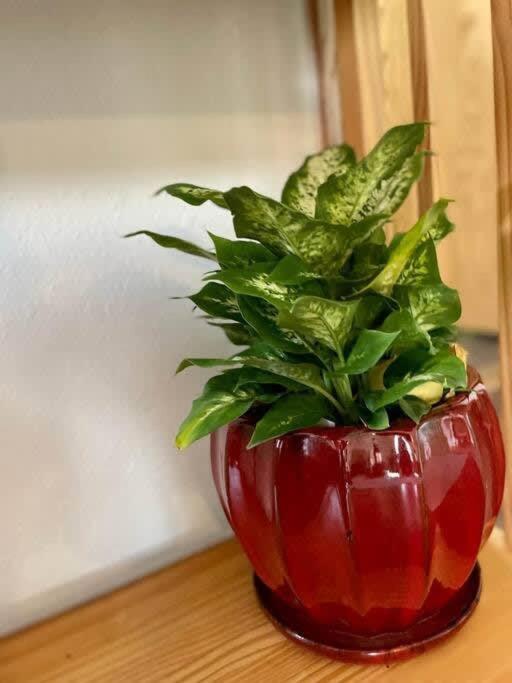 Downtown Red Room at Villages on Aurora