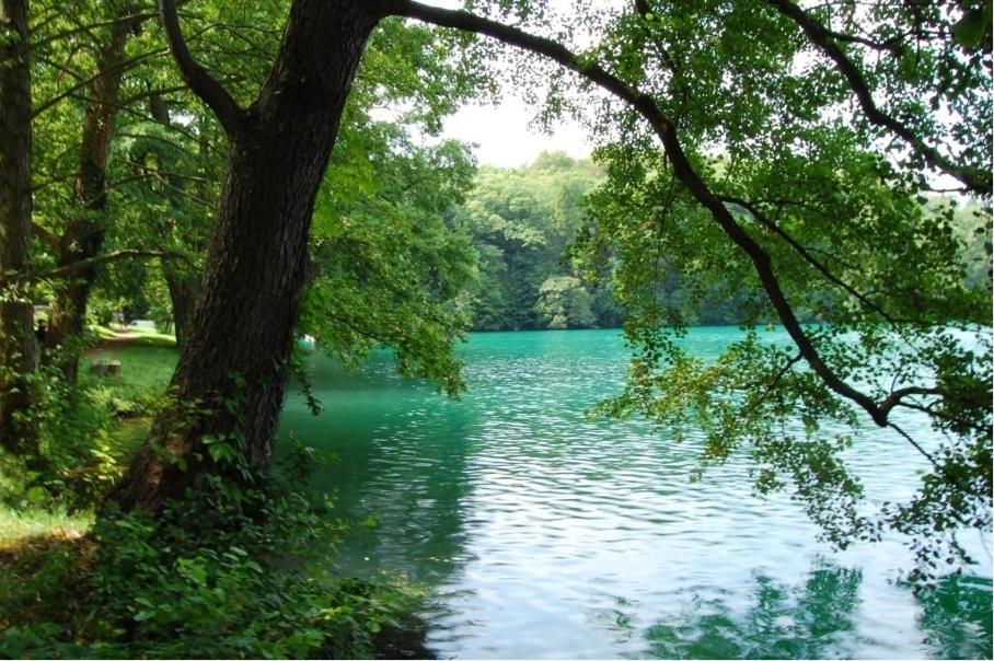 Luna Apartament Łagów Klima Smart Tv