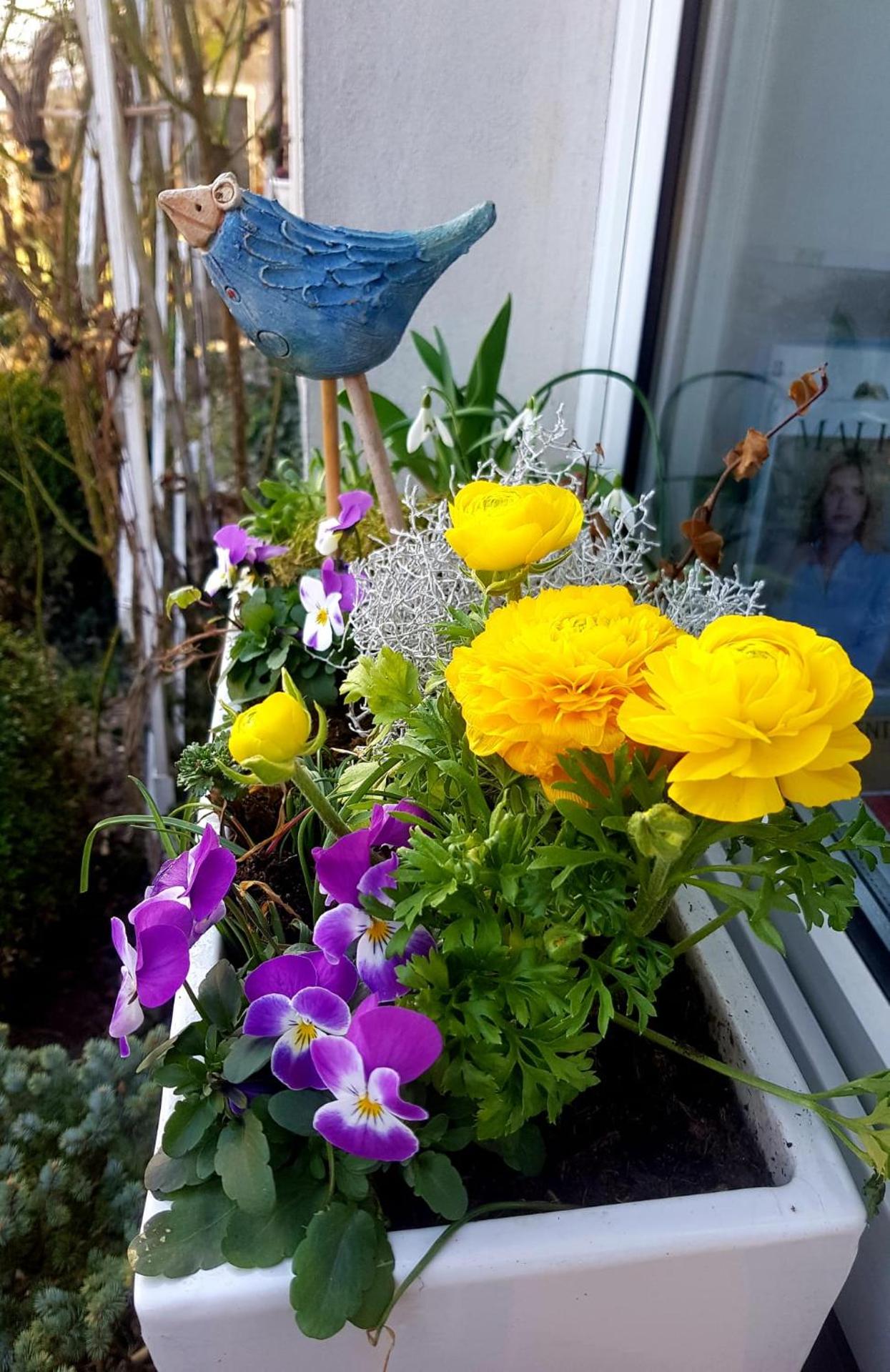 Apartmán Sluníčko