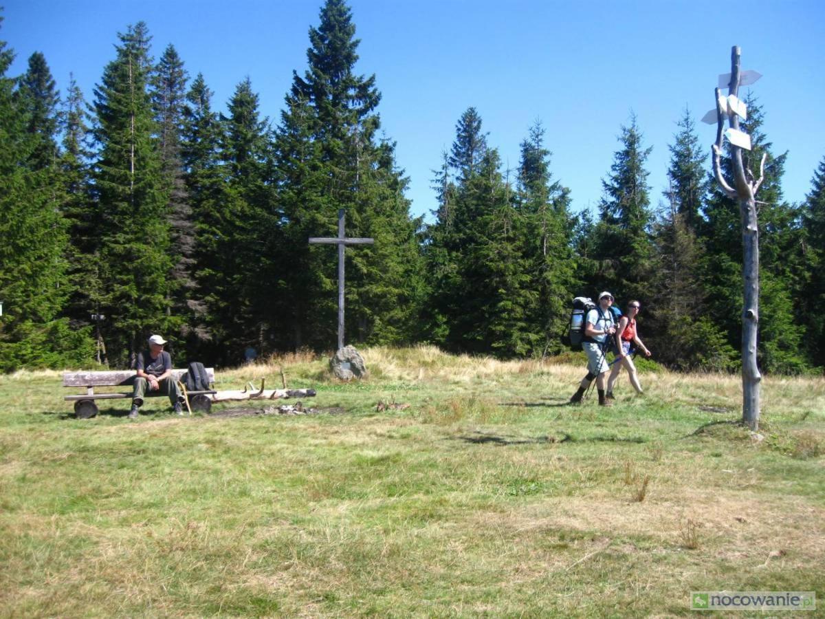 Agroturystyka Leśny Zakątek