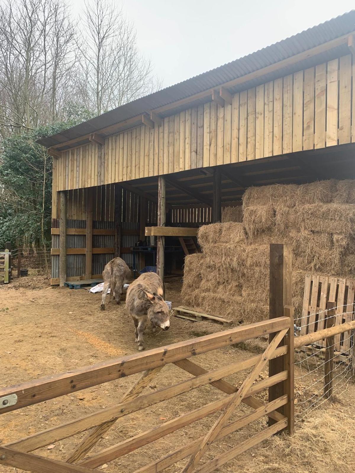 Idyllic cottage escape in Oxfordshire countryside