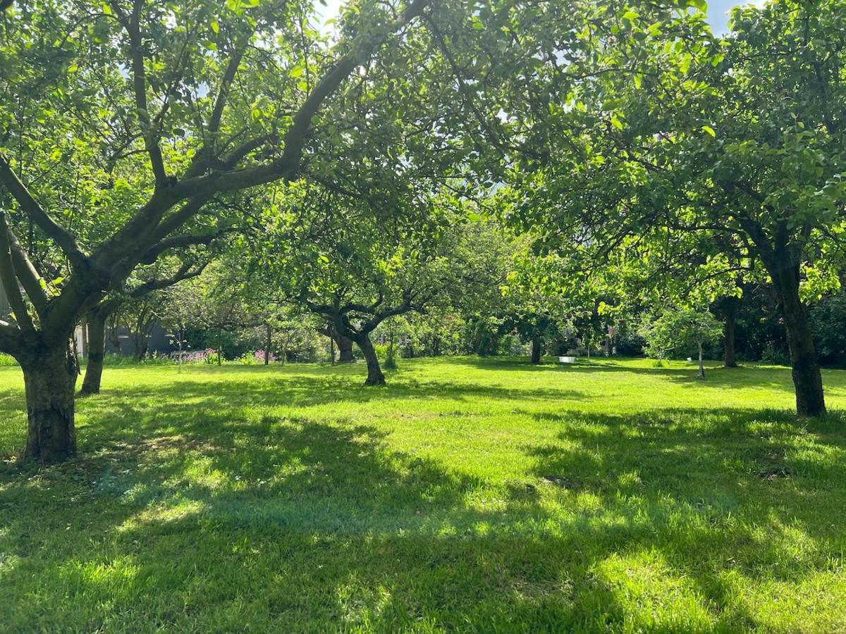Idyllic cottage escape in Oxfordshire countryside