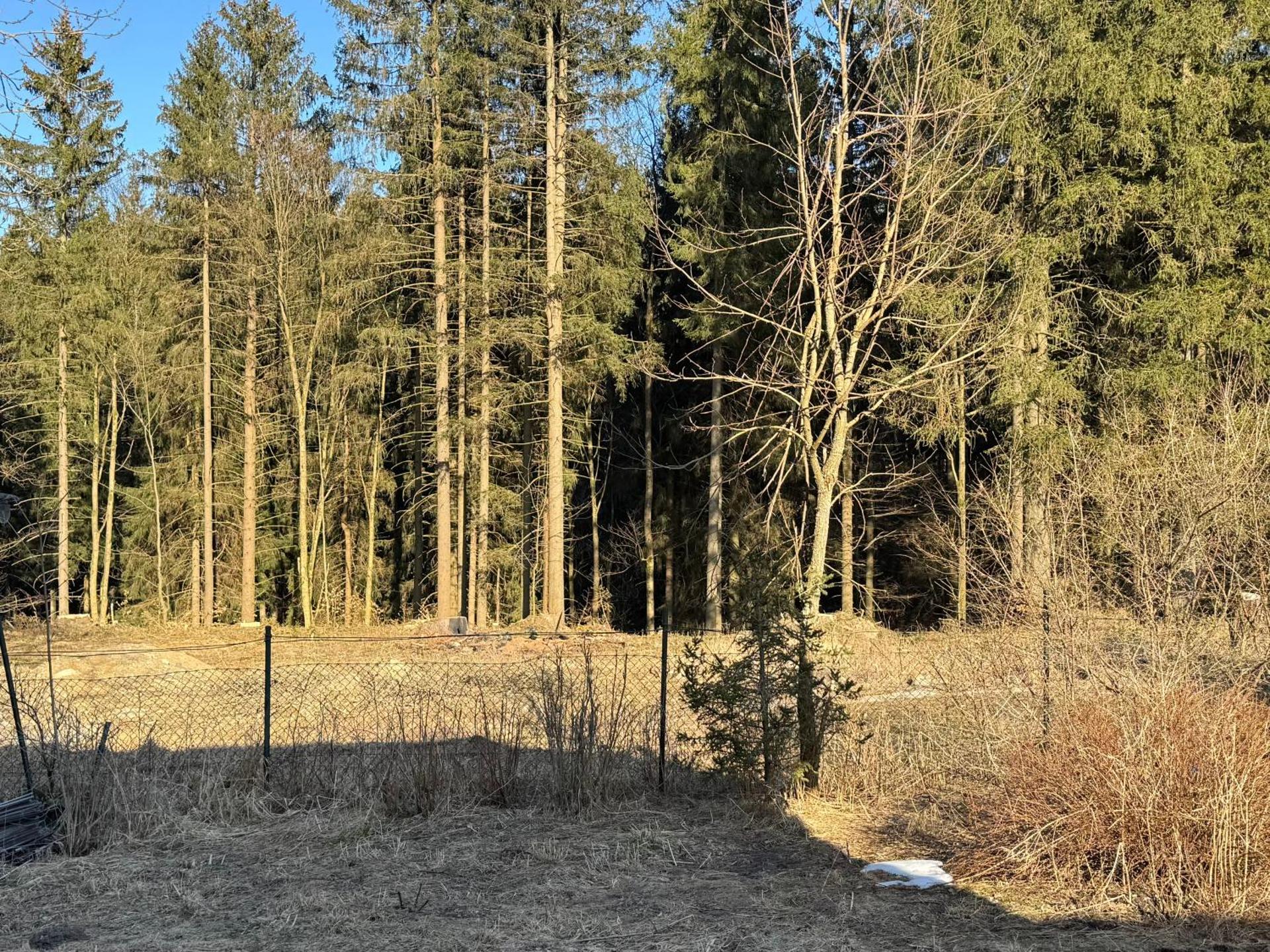 Pensjonat Leśniczówka Zieleniec