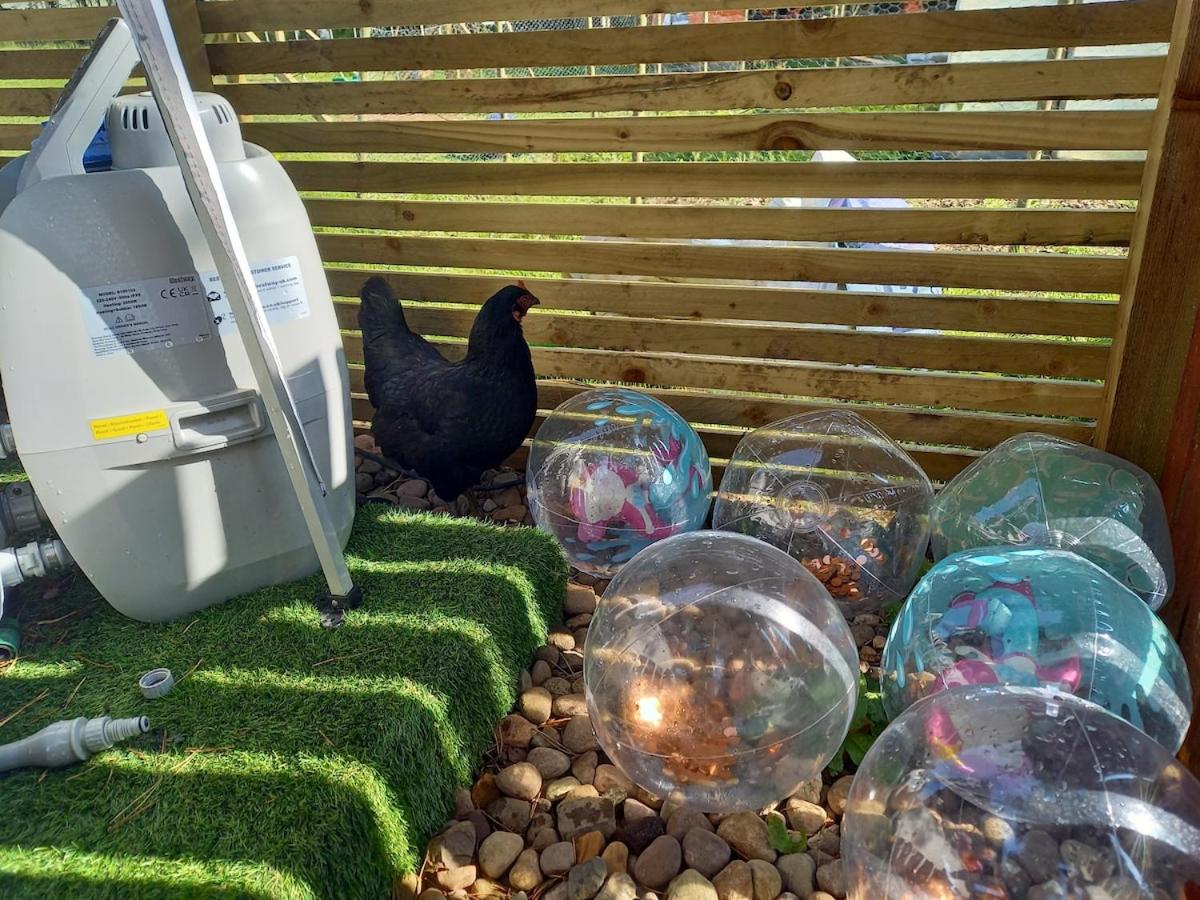 North Lodge Holiday Home, Hot Tub & Sauna