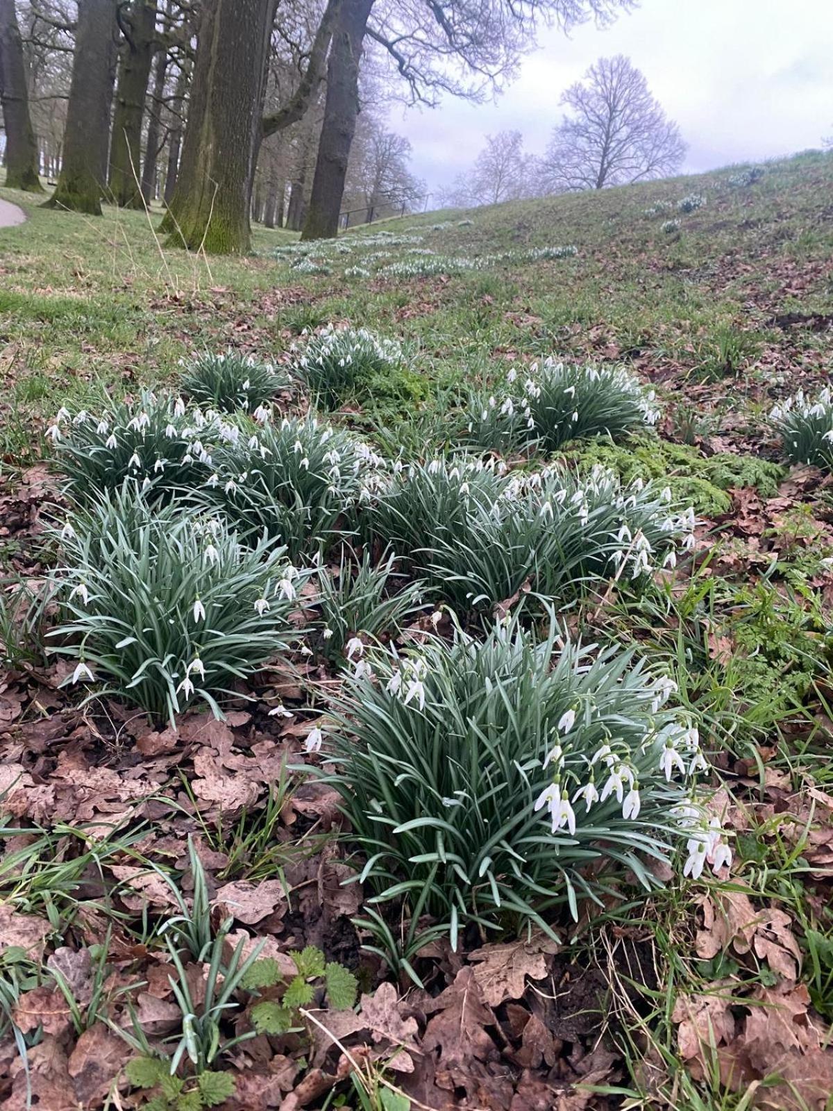 Deventer Heritage en Boutique B&B, museumhuis "De Worp", het huis met de theekoepel, logeren in authentiek historisch erfgoed