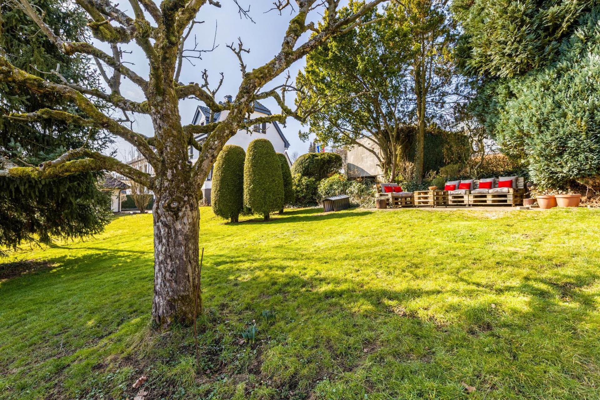 Attendorner Burgblick