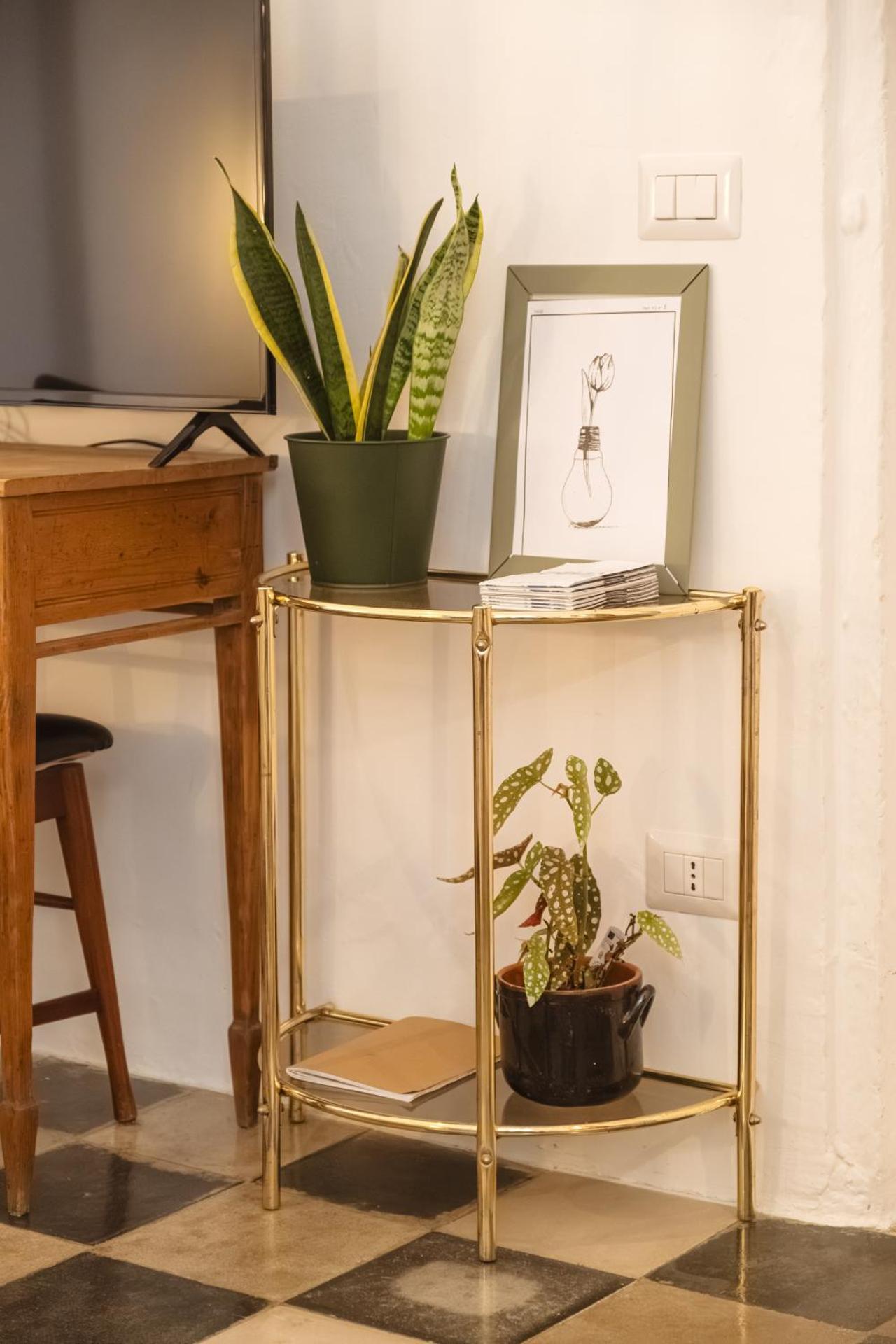 CALMAPIANTA home for green lovers