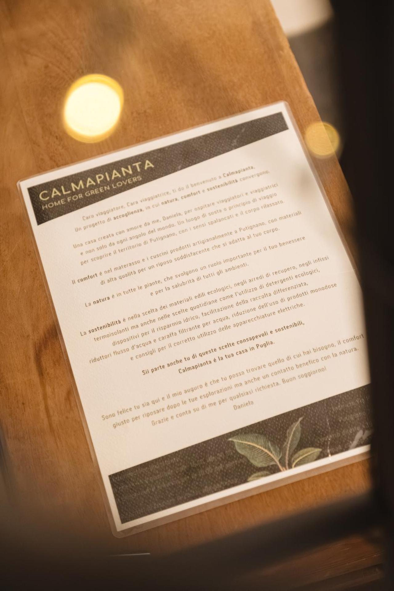 CALMAPIANTA home for green lovers