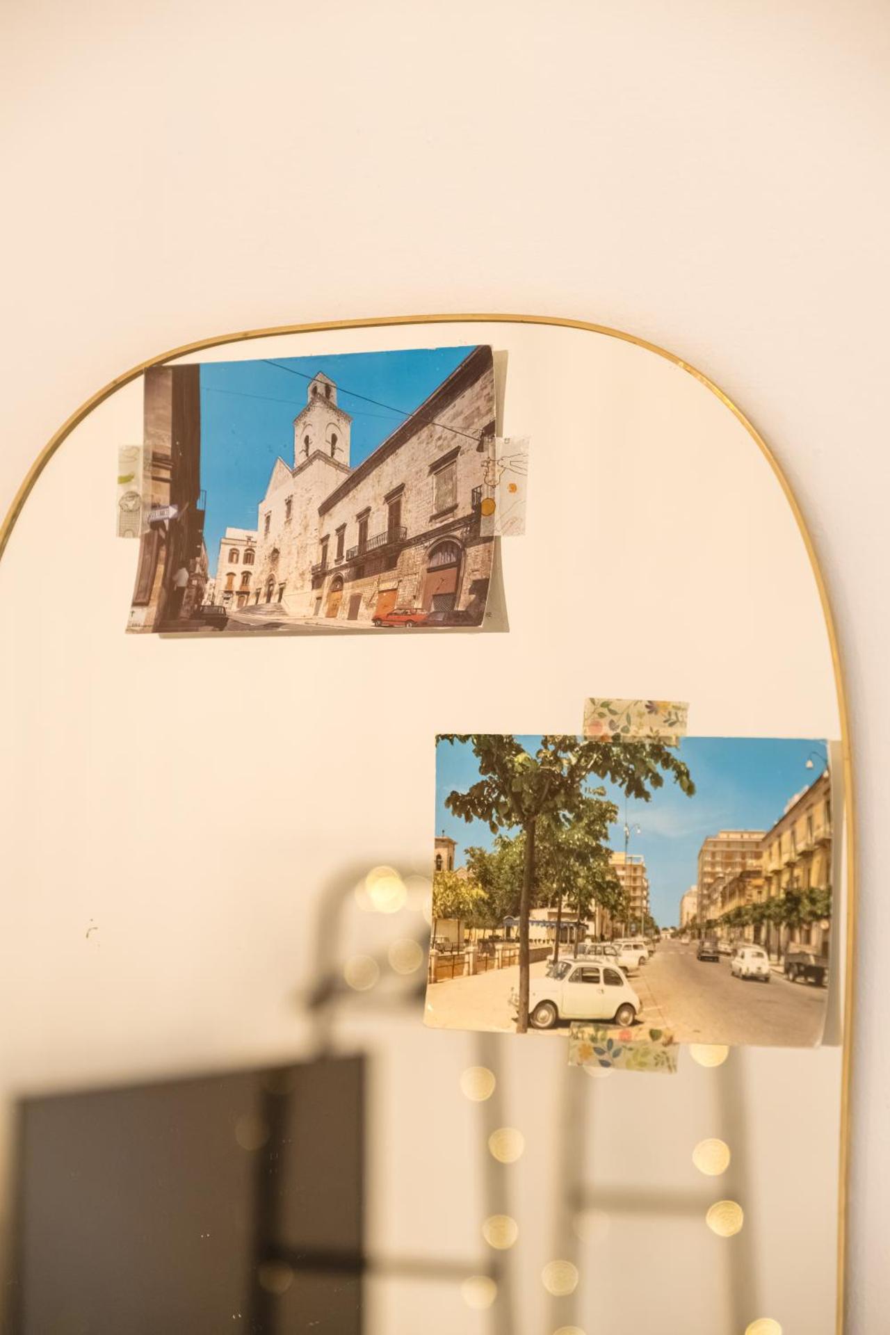 CALMAPIANTA home for green lovers