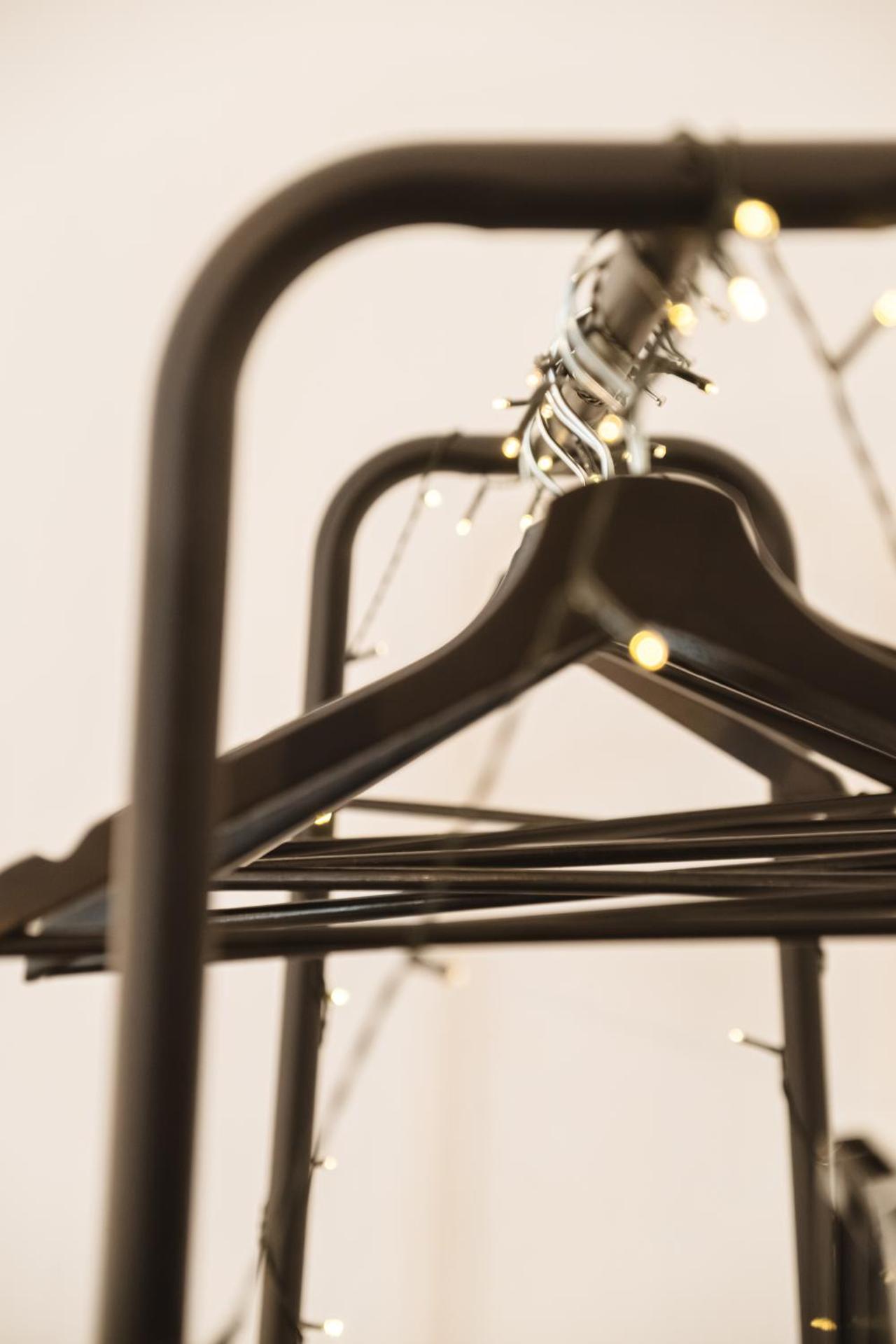 CALMAPIANTA home for green lovers