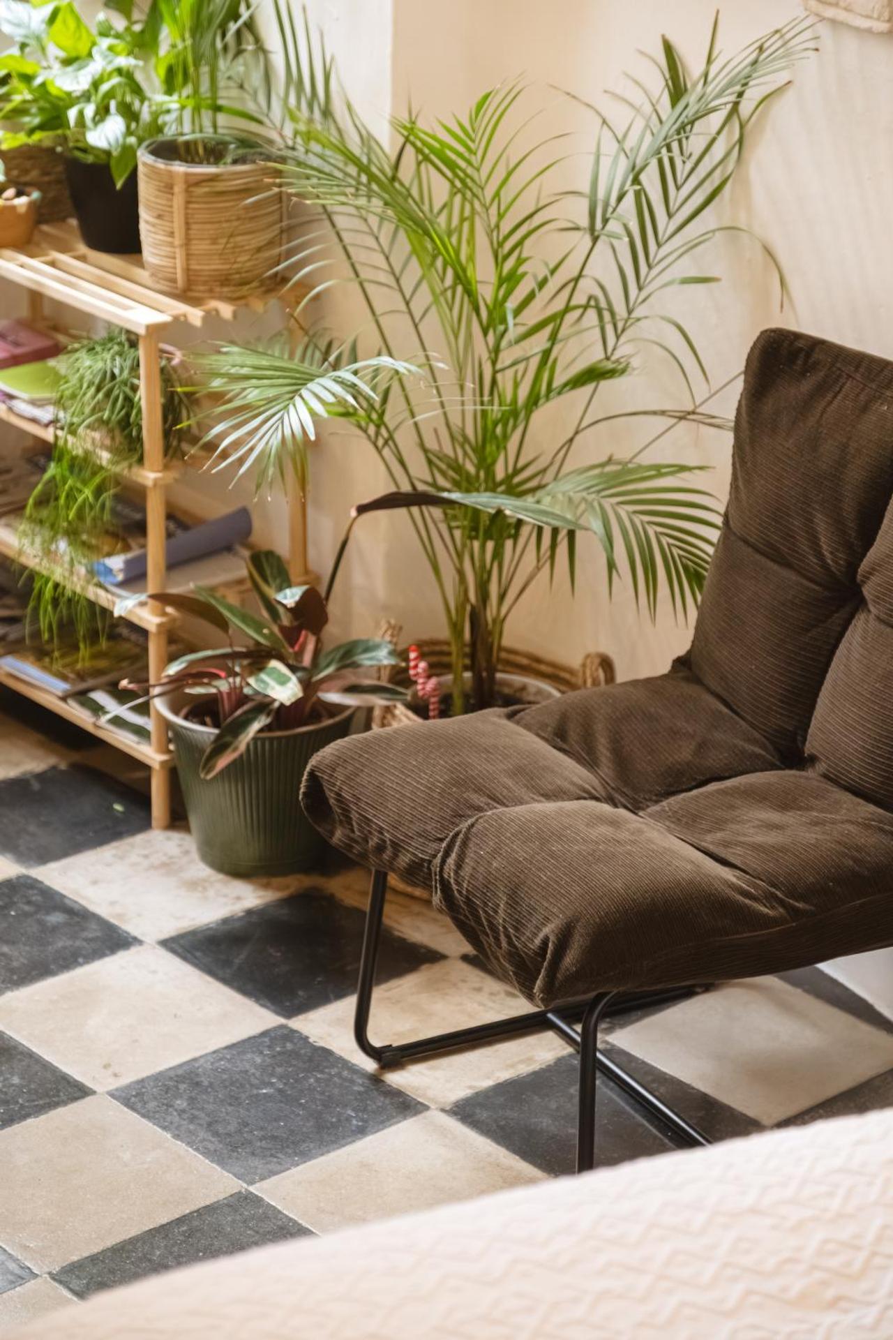 CALMAPIANTA home for green lovers