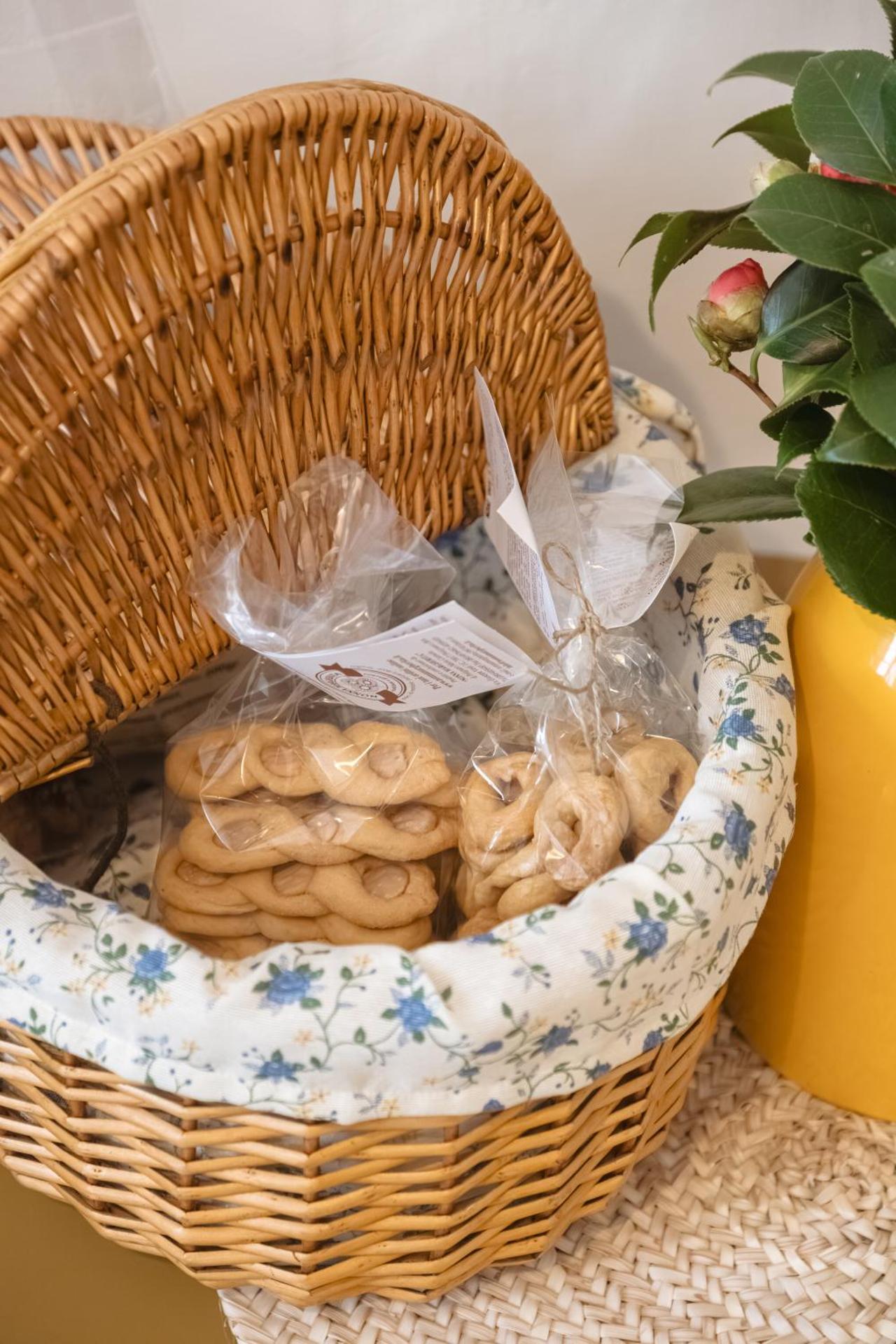 CALMAPIANTA home for green lovers