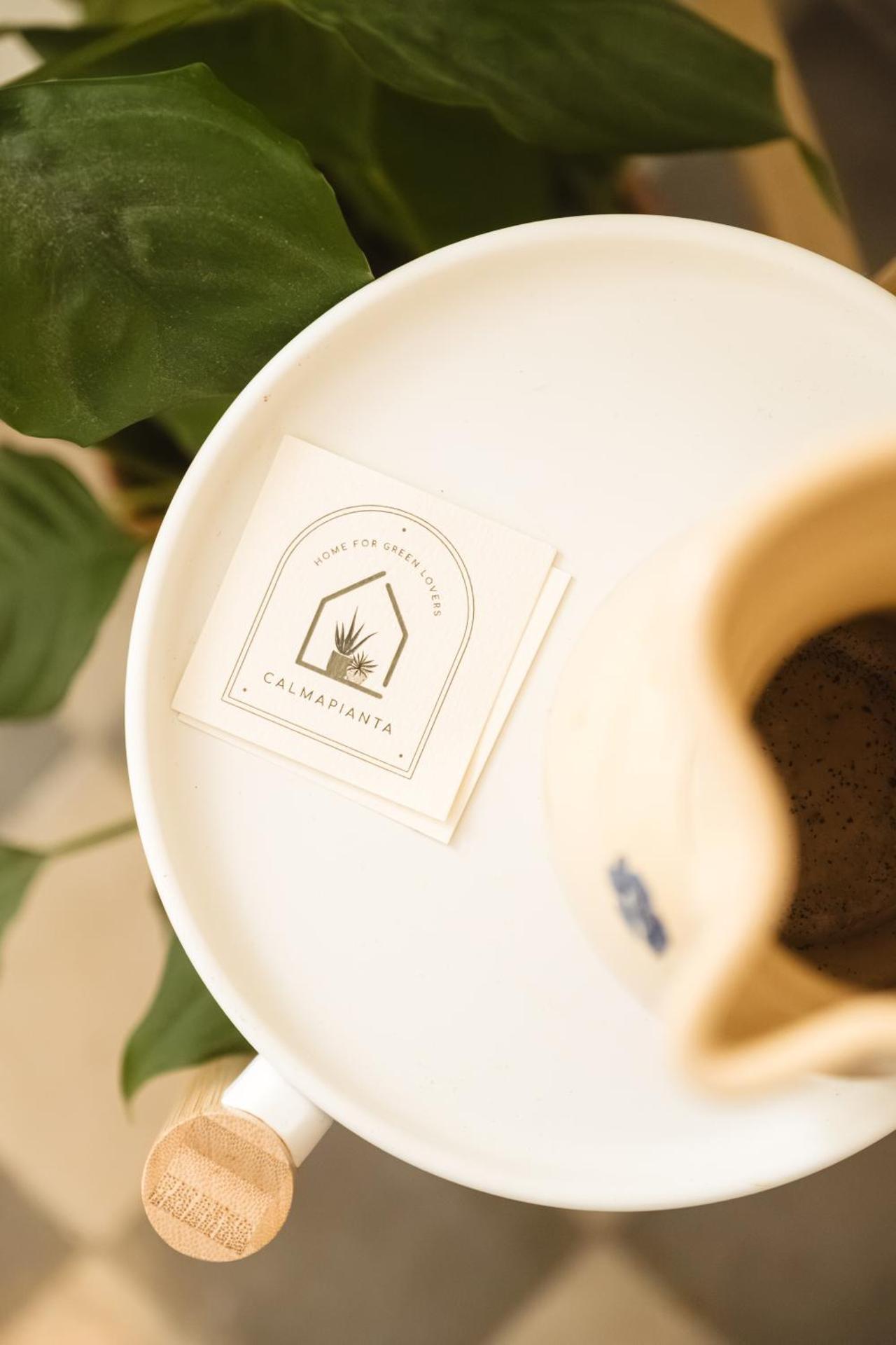 CALMAPIANTA home for green lovers