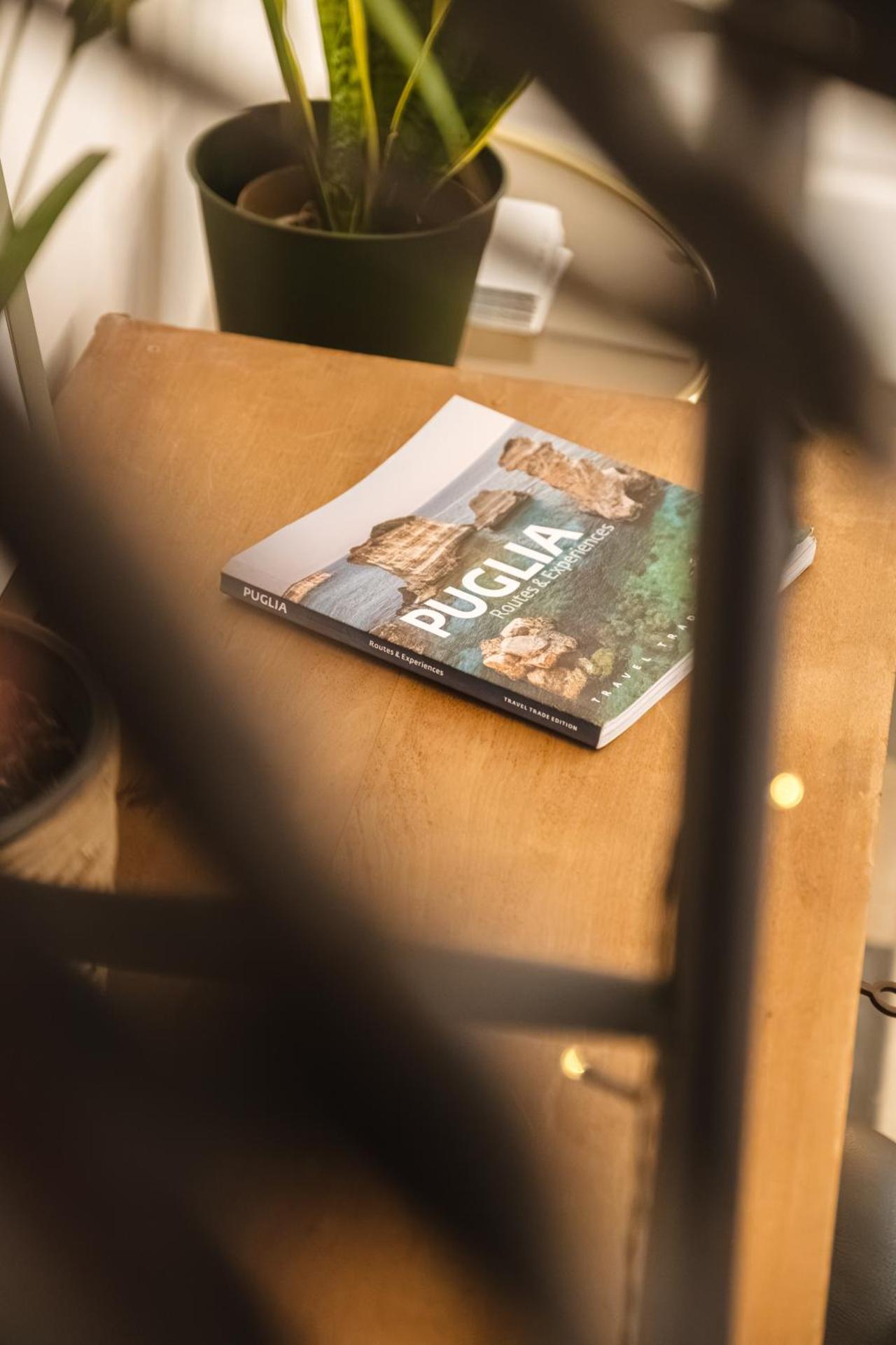 CALMAPIANTA home for green lovers