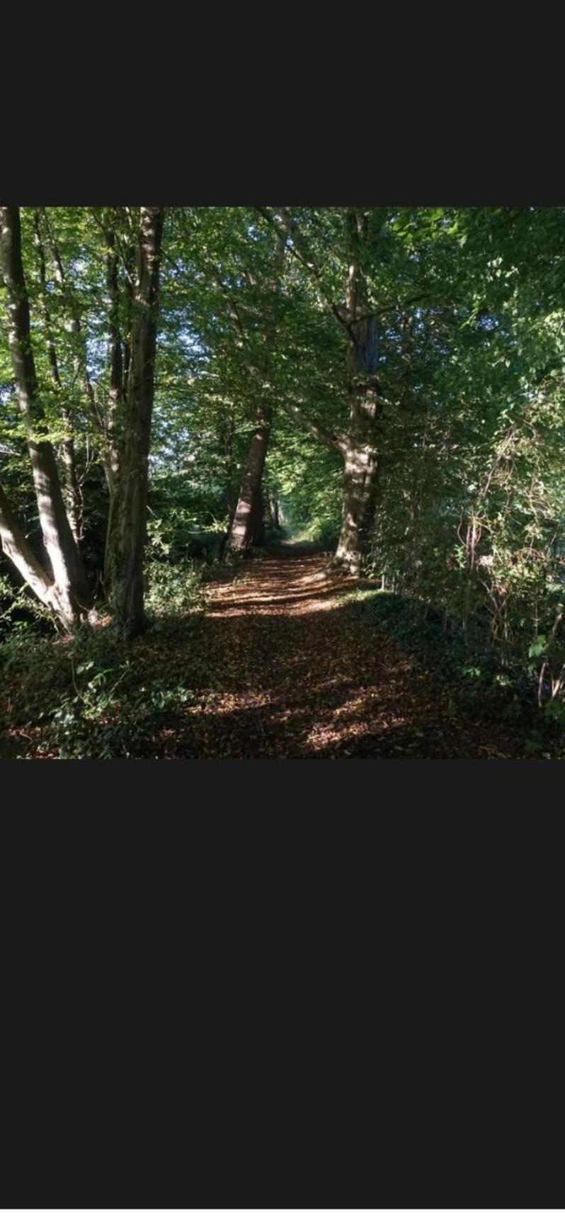 Appartement de Tuinkamer