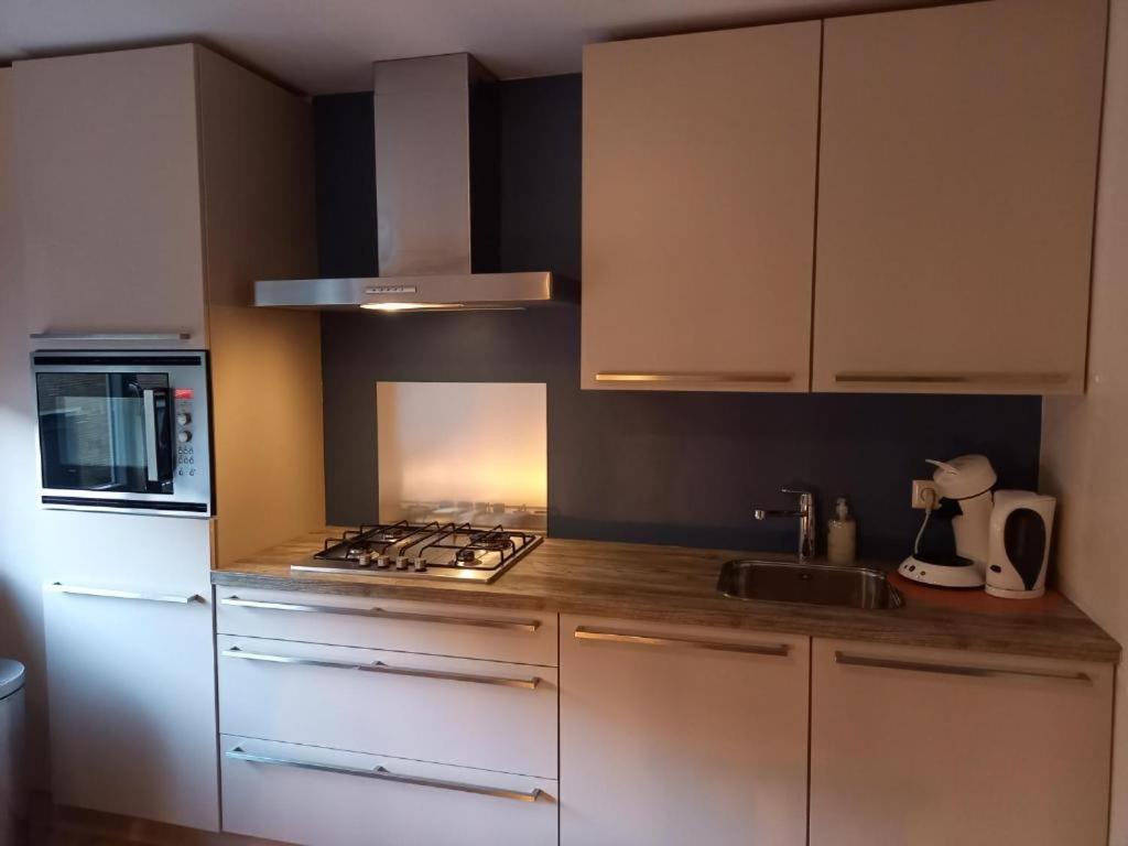 Zeevonk Studio's & Appartementen