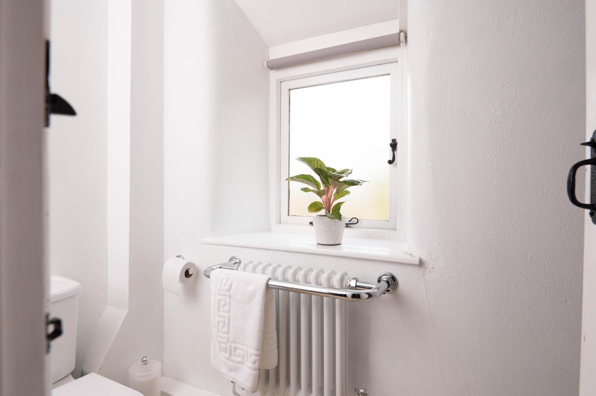 Granary Cottage with hot tub on organic farmland