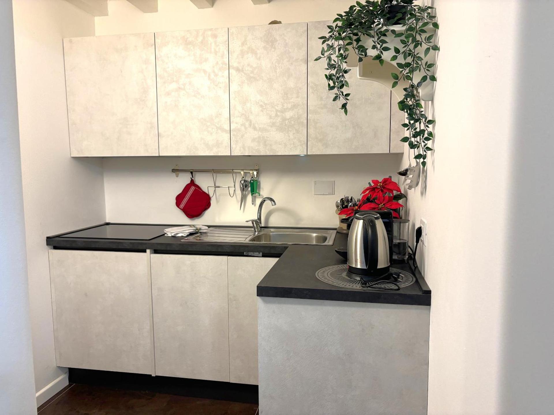 Kitchen or kitchenette