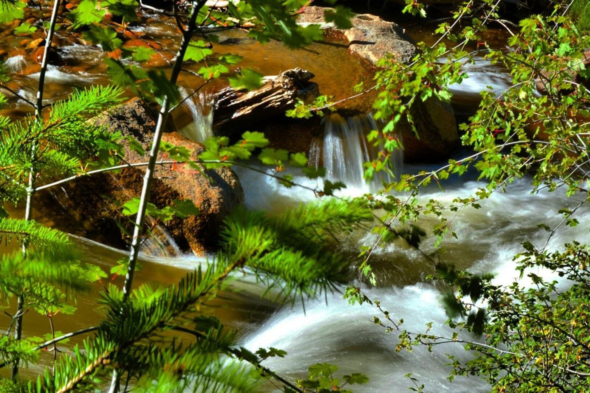 Stonebrook Resort - Adult Only