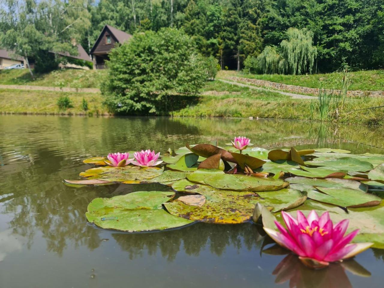 Domek całoroczny El Coyote