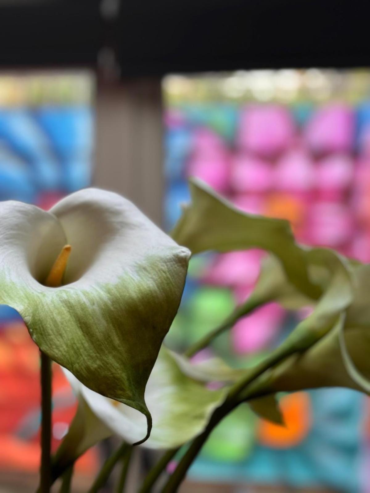 4 Bedroom En-Suite Townhouse