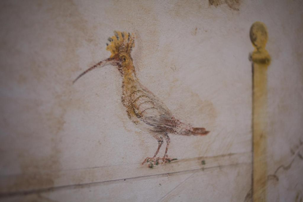 Albergo Diffuso - Rocca Calascio