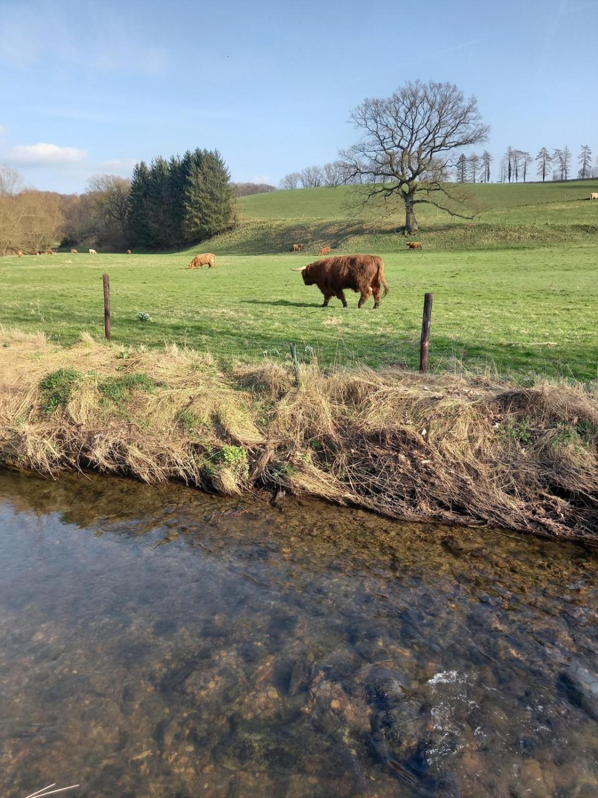 Ap78 Nature Ardennes Economy class apartment