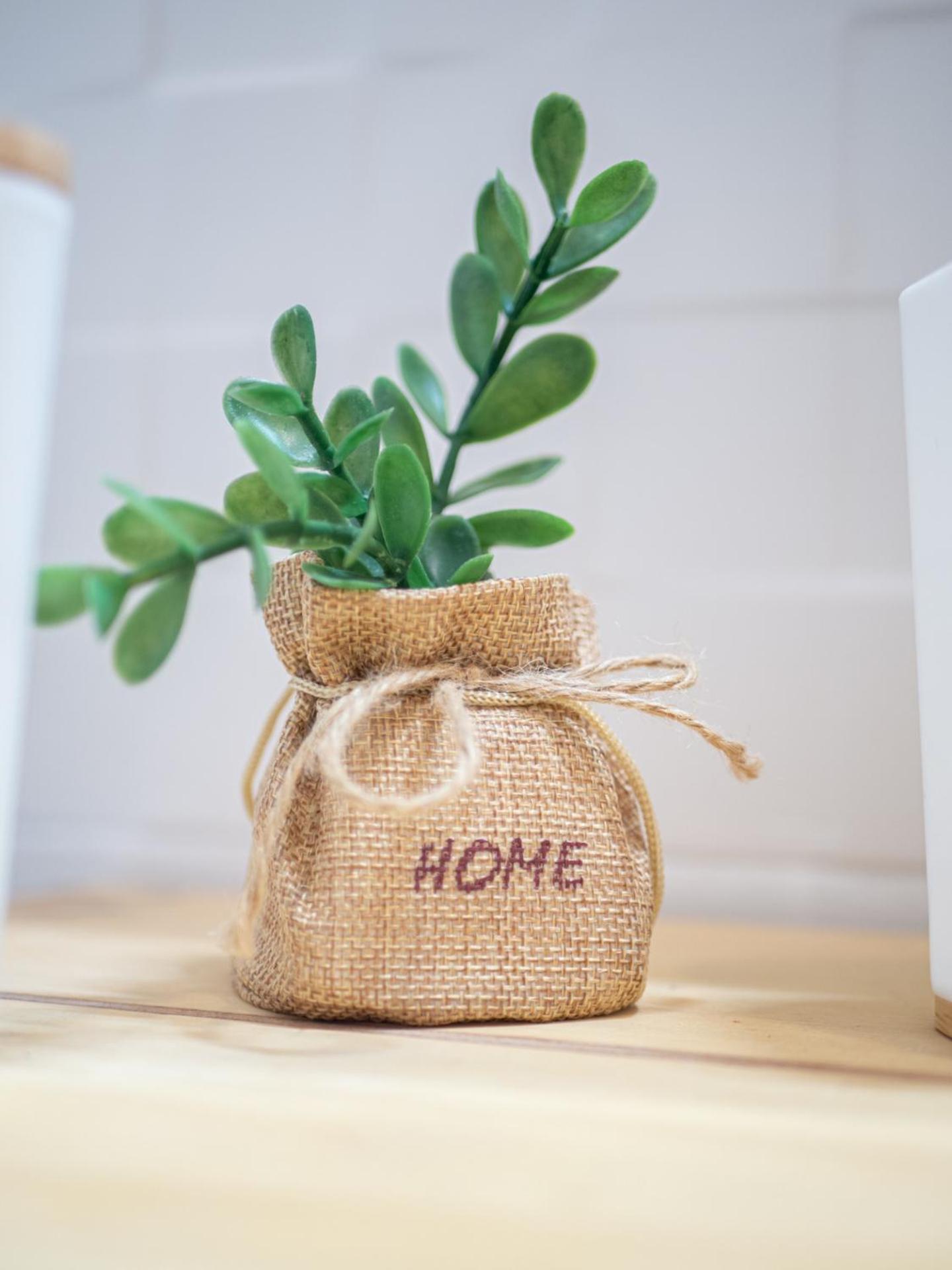Boho house, Albufeira