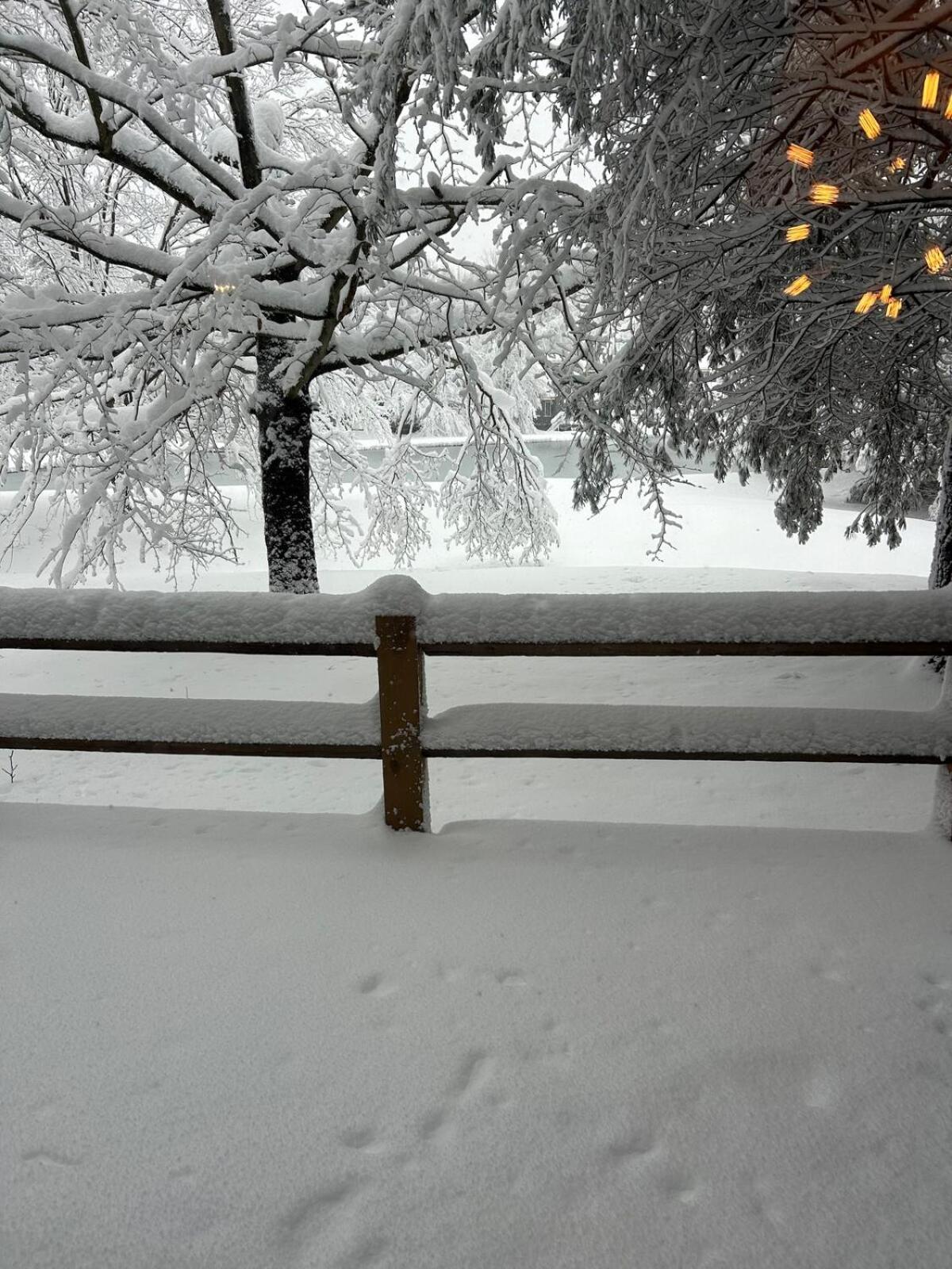 Mountain Fun-Jack Frost Walk On Whole House