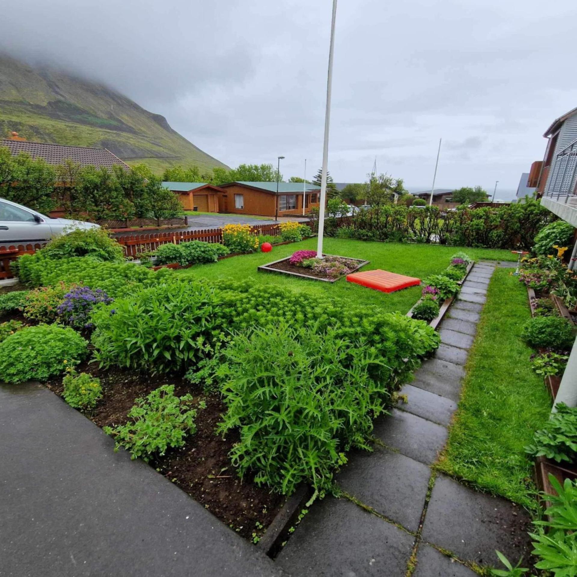 Aurora cozy Apartments