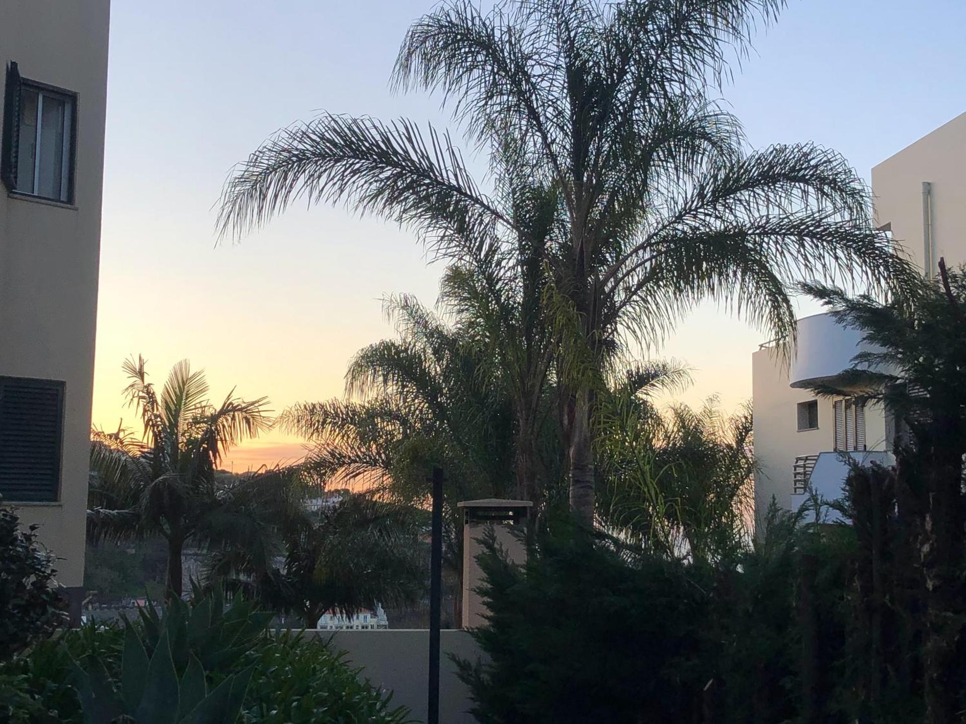 Loft in Calheta Madeira