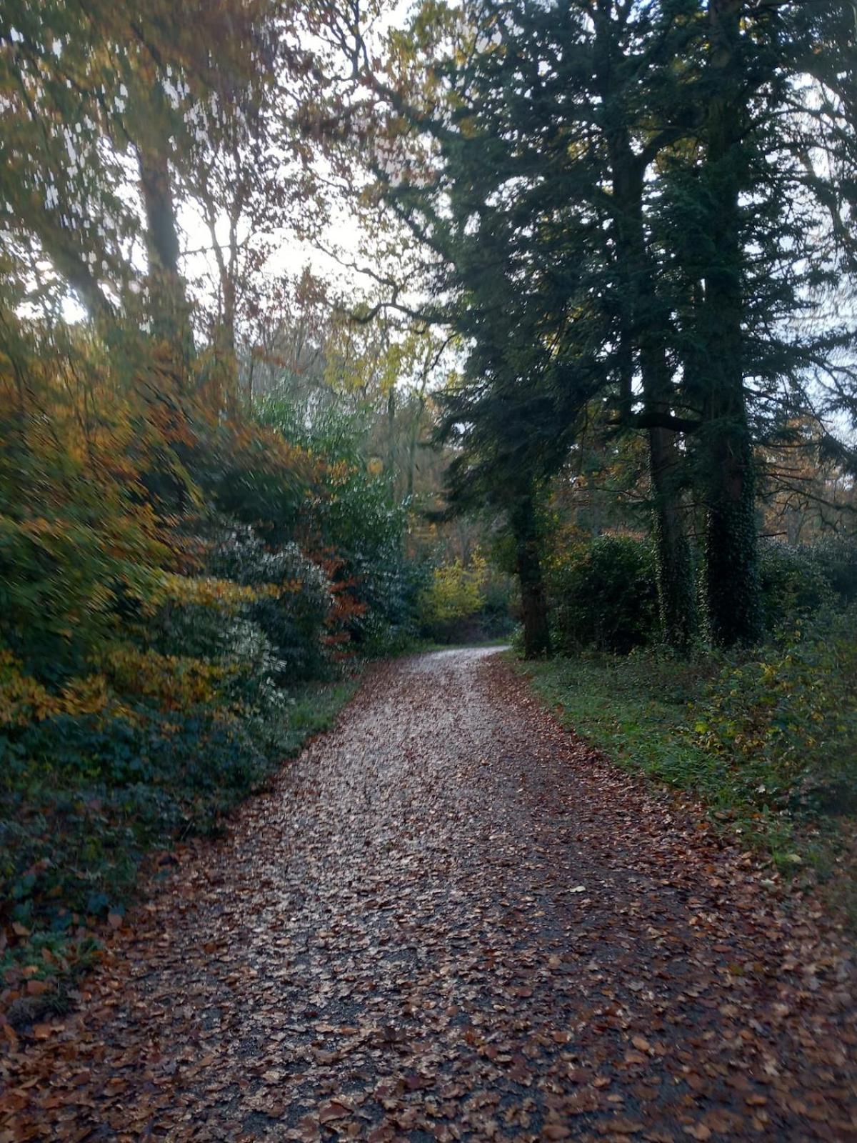 Grove View log house