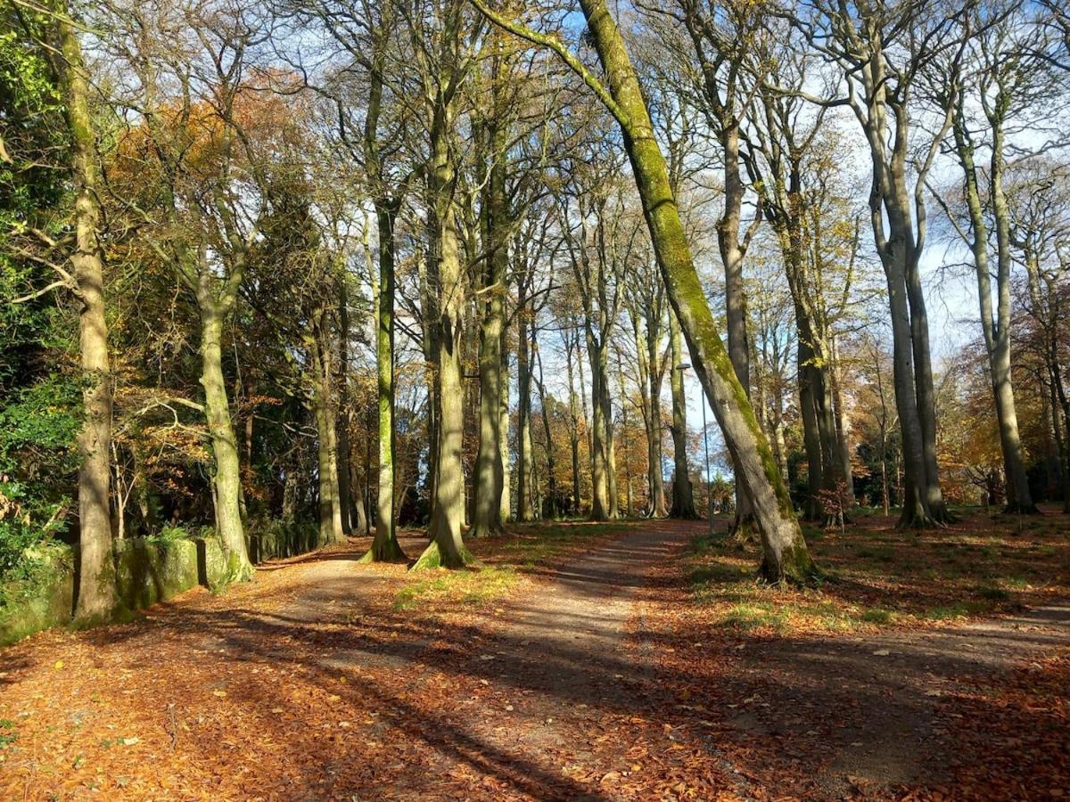 Grove View log house