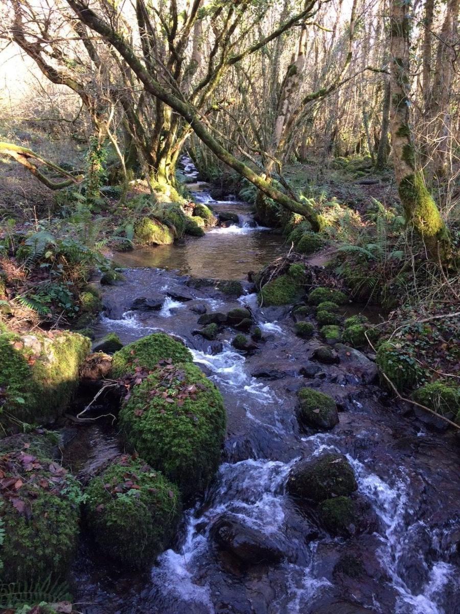 Grove View log house