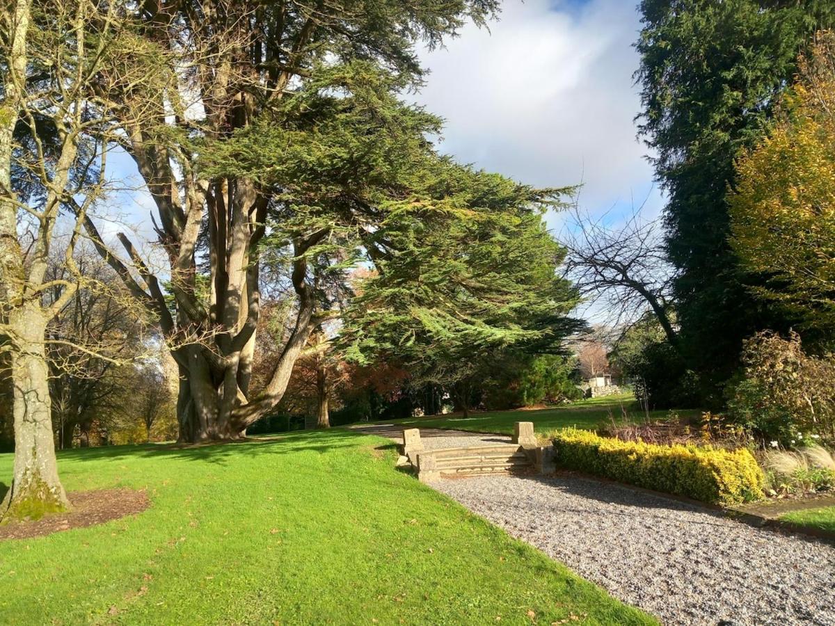 Grove View log house