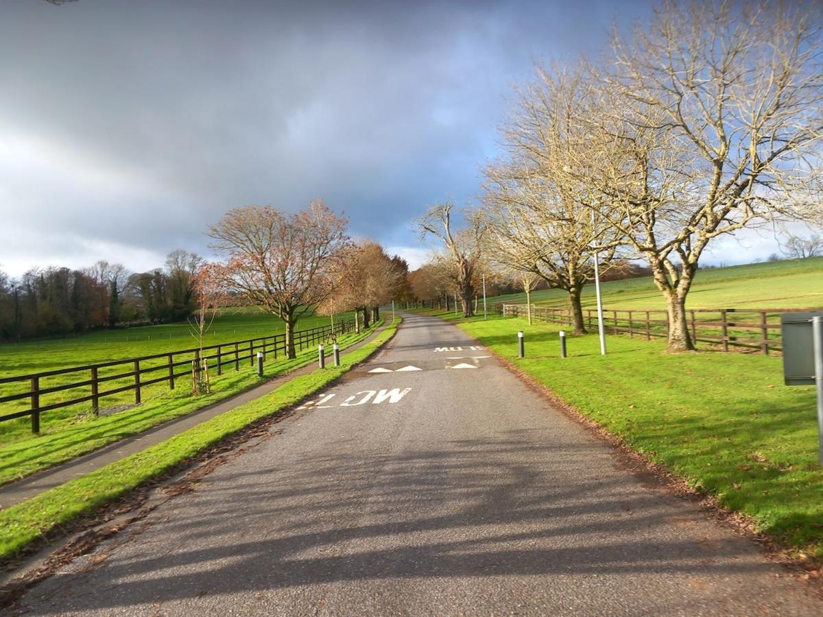 Grove View log house