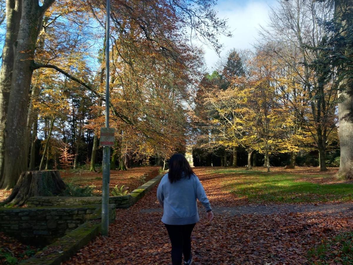 Grove View log house